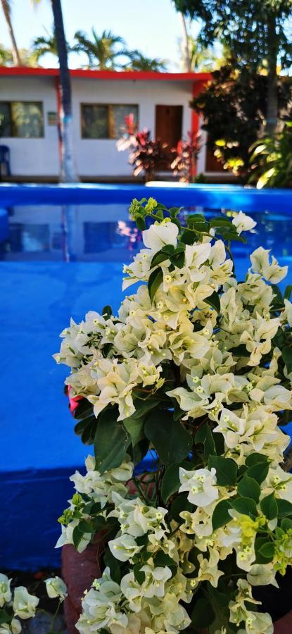 Hotel Oasis Melaque San Patricio Melaque Kültér fotó